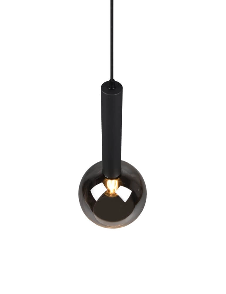 Hanging lamp Clayton black with smoke glass Trio 4017807532951