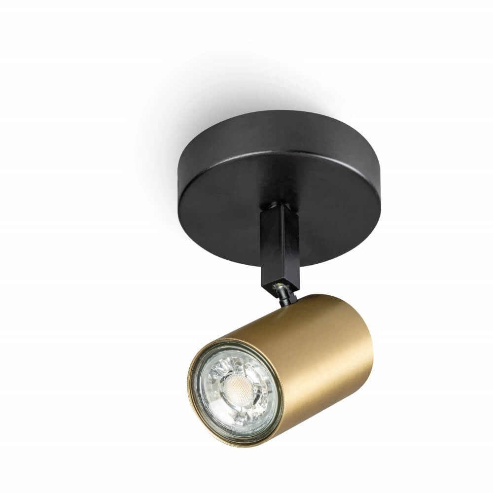 Single surface-mounted spotlight The Common black with gold