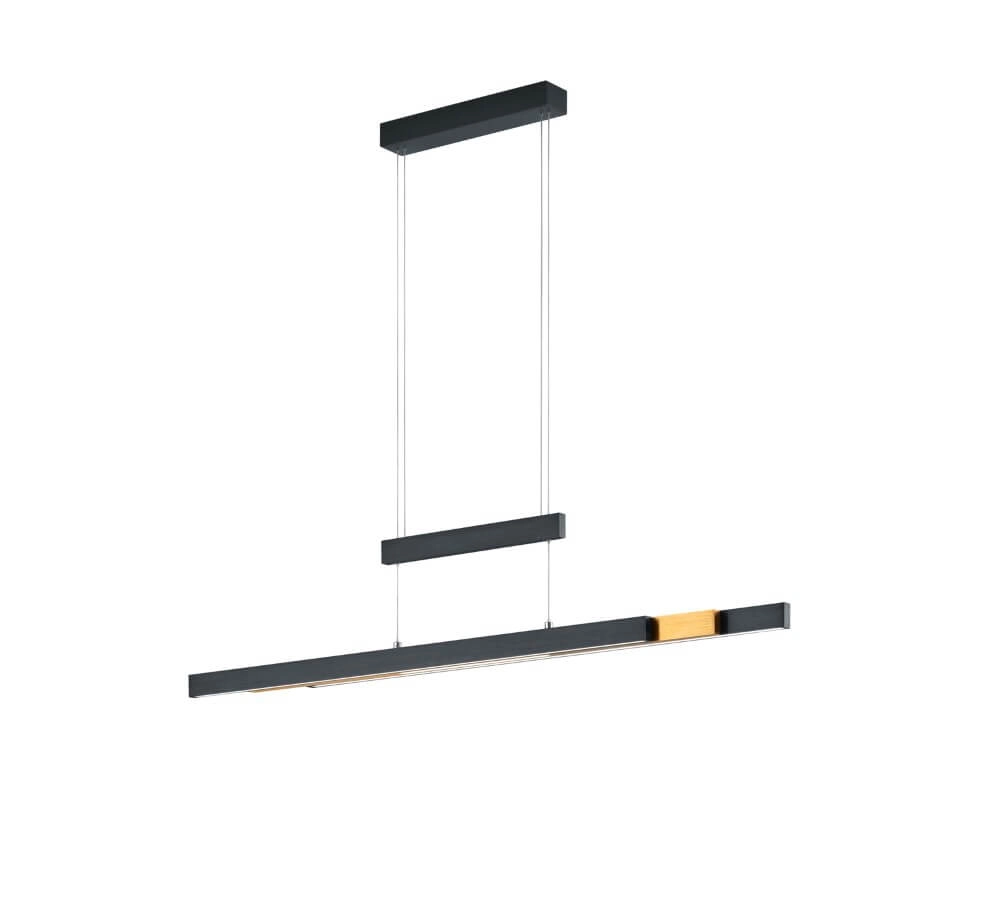 Hanging lamp Trajan black Trio 4017807504446