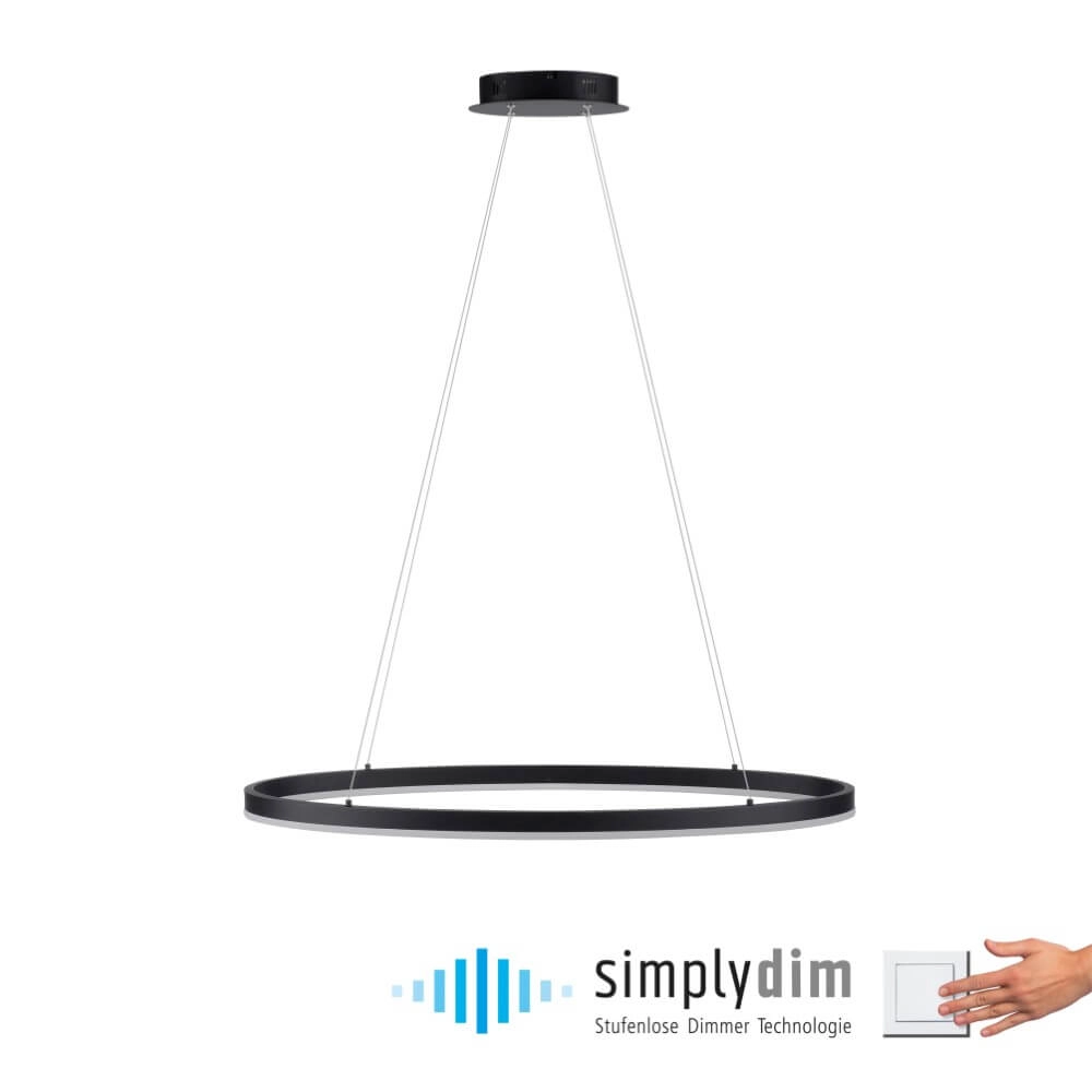Anthracite pendant lamp Titus Ø 80cm Paul Neuhaus 4012248375211