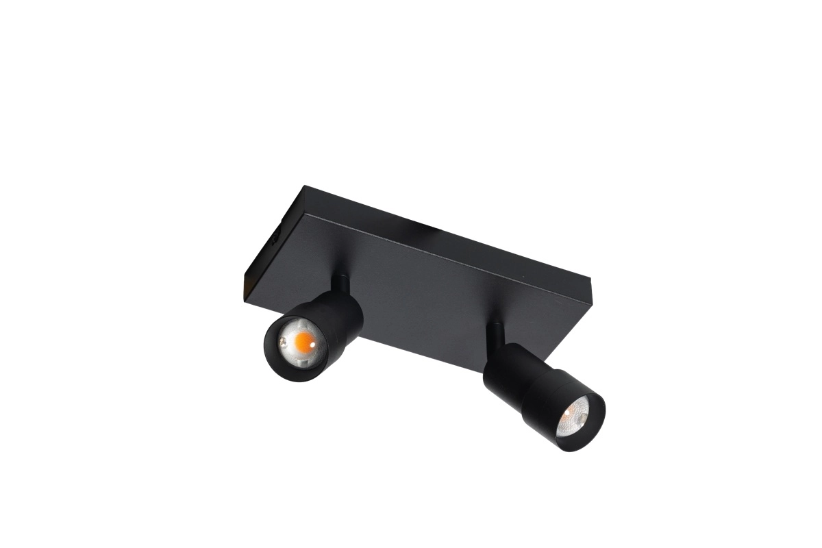 Surface mounted spot 2x led Liam black - rectangular