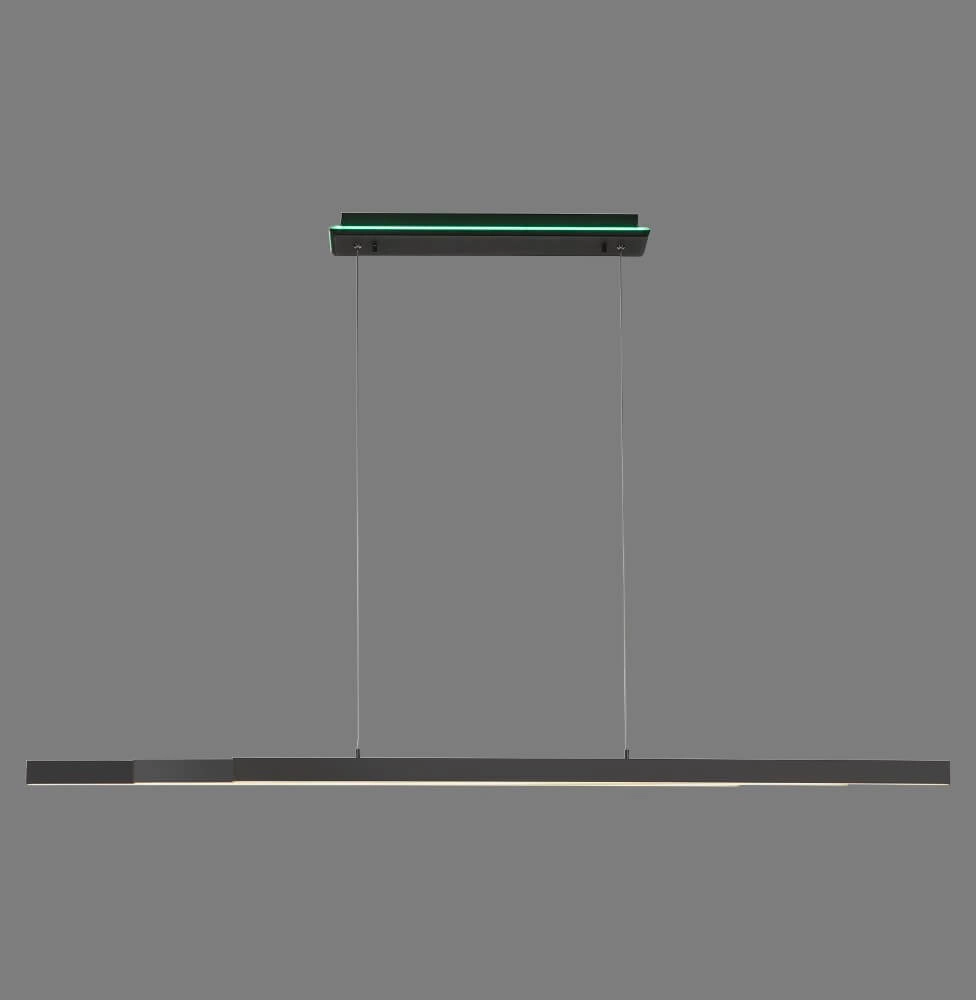 Modern pendant lamp Q-Arian anthracite Paul Neuhaus 4012248359846