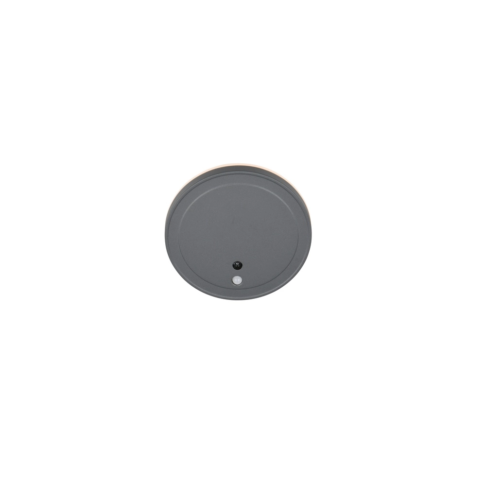 Design wall lamp Fortaleza round anthracite Trio 4017807647907