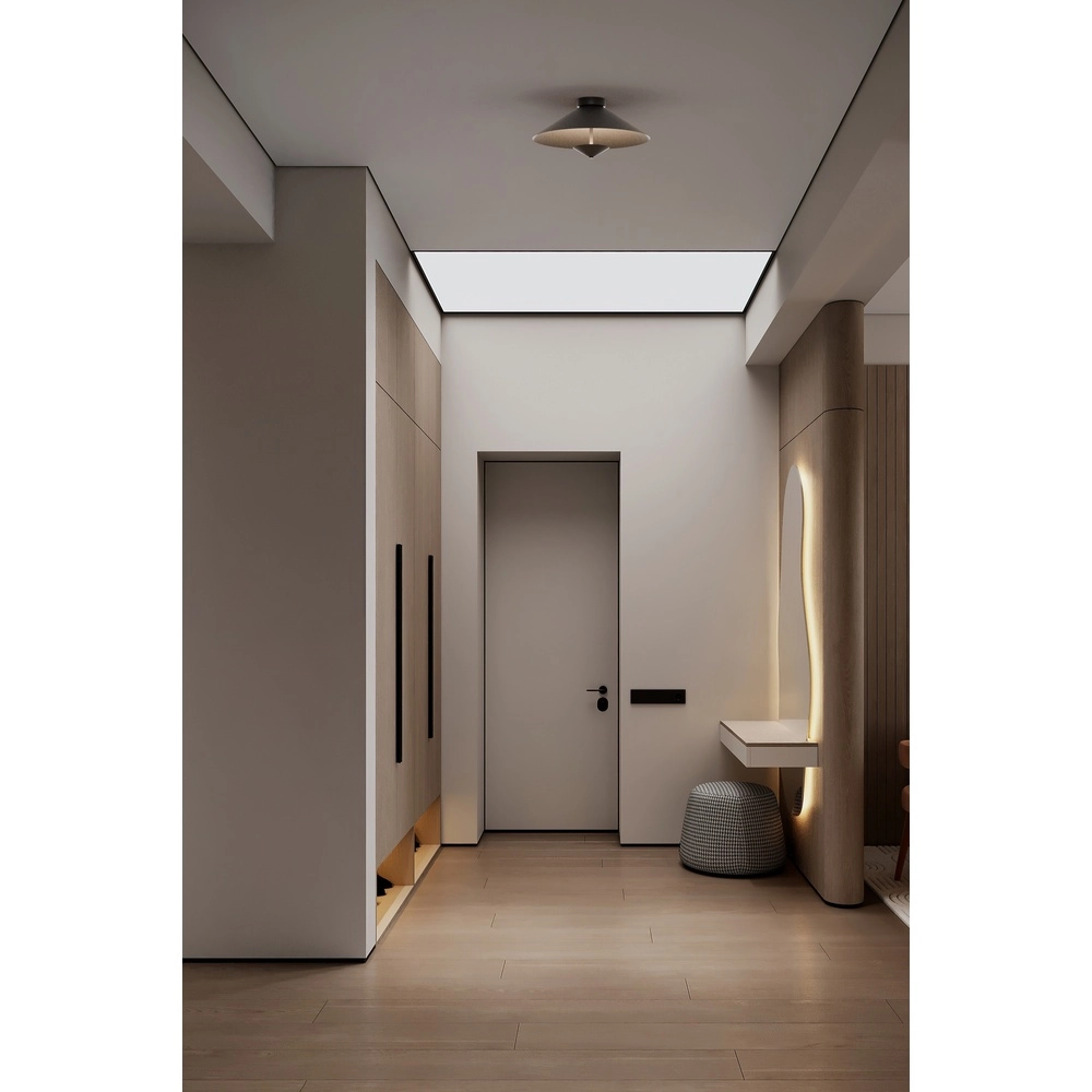 Ceiling lamp Ceppo black Ø 45cm Masterlight 8718121398150