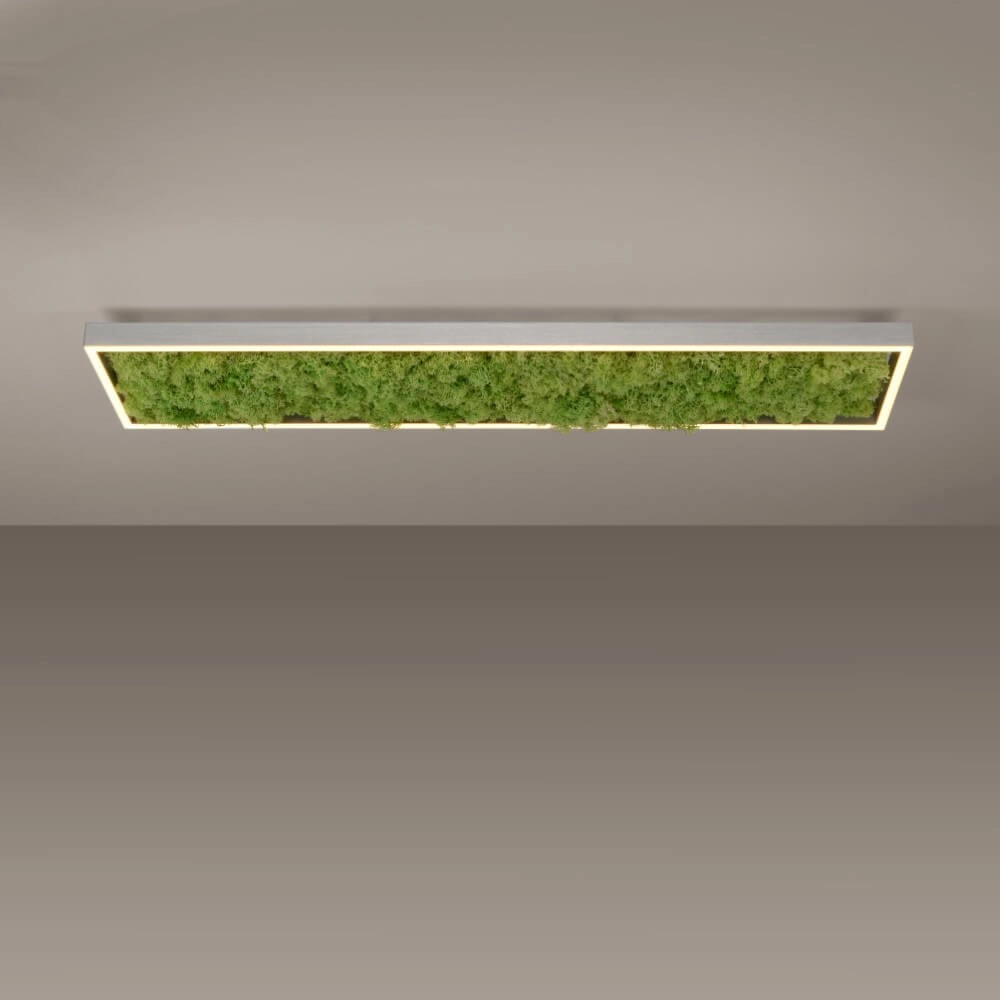 Rectangular ceiling lamp Green Knut with moss Just Light 4043689994846