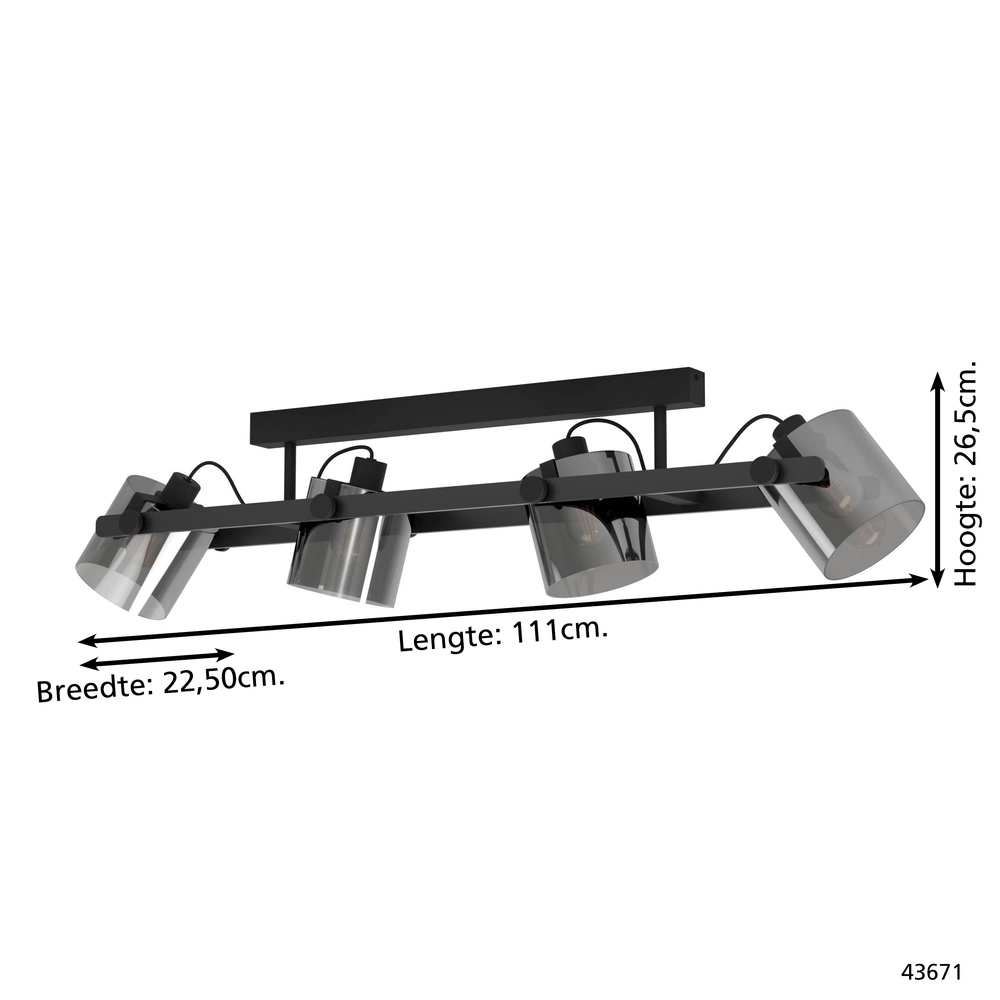 4L ceiling light Hornwood 2 black with smoke glass Eglo 9002759436711