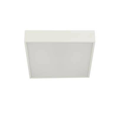 Bathroom ceiling lamp Zeus square white Searchlight 5053423188645
