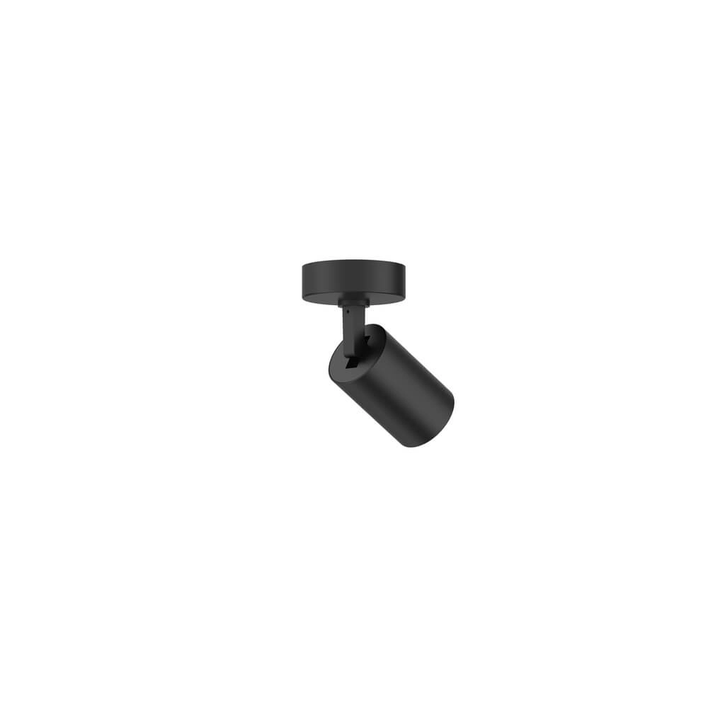 Single surface-mounted spotlight Tevo black Lyora 4255805301548