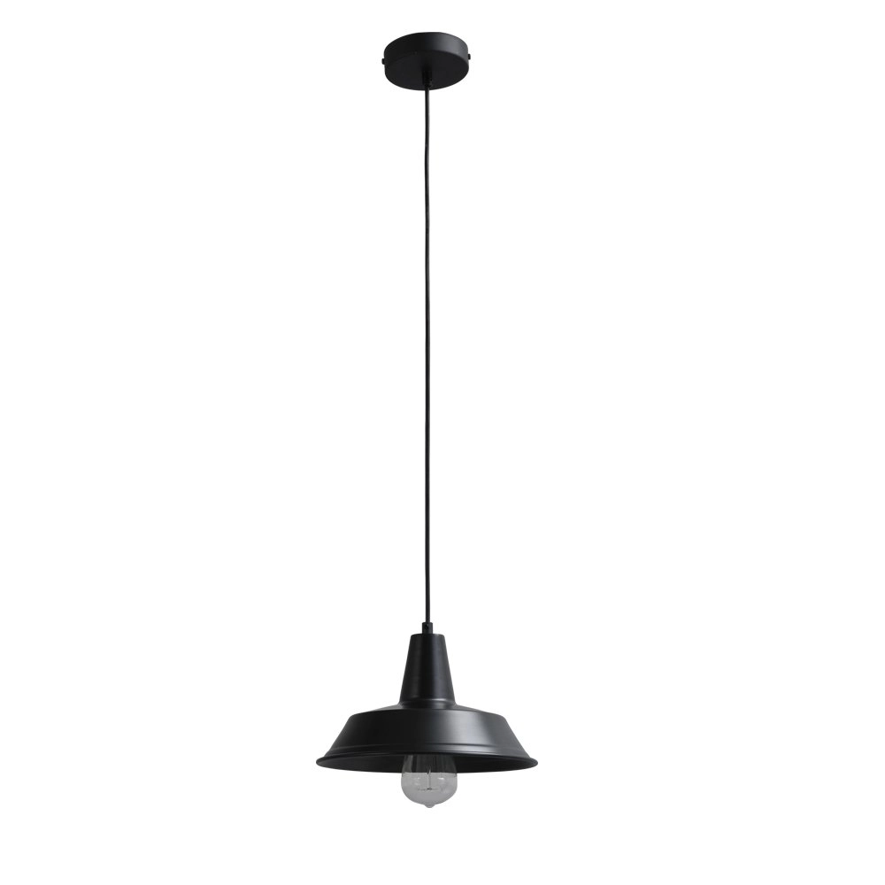Pendant lamp Industria 25 Masterlight 8718121237565