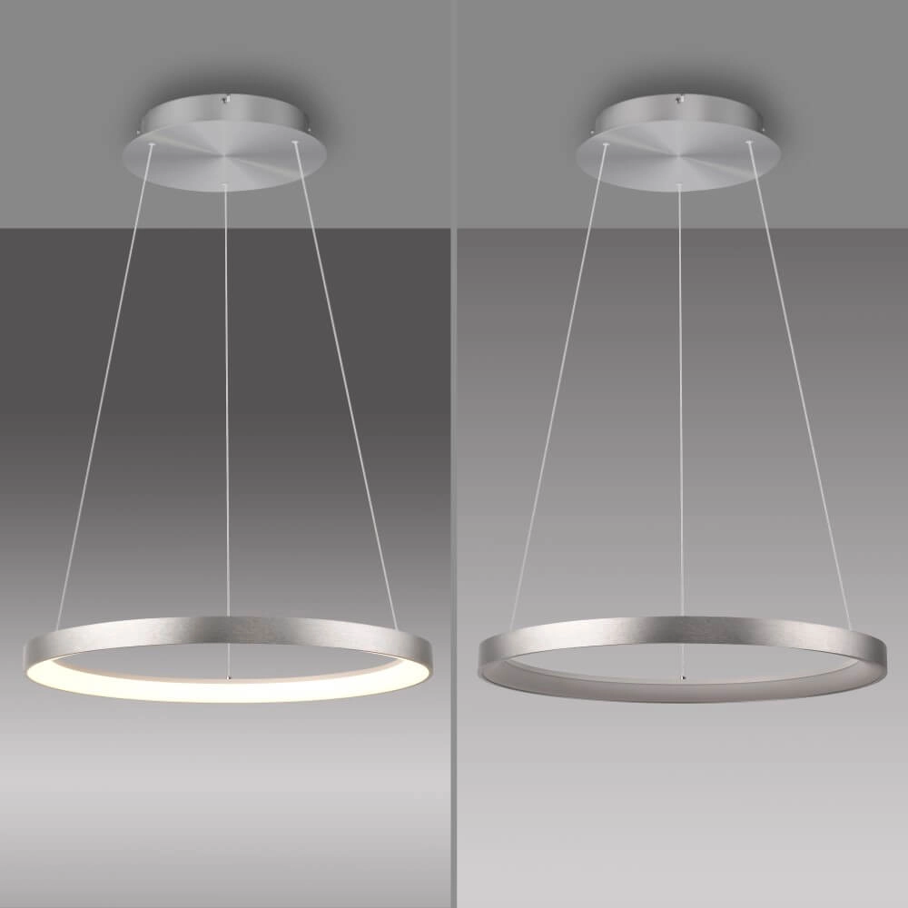 Round pendant lamp Hoop aluminium Paul Neuhaus 4012248384718