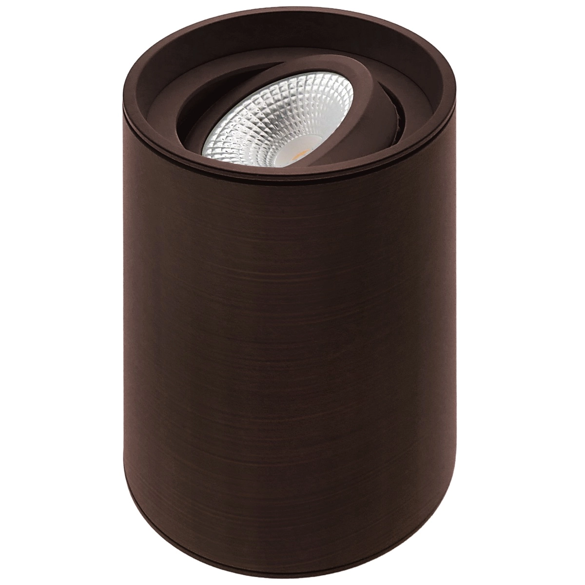 Surface-mounted spot Viggo 1x GU10 - anodic brown