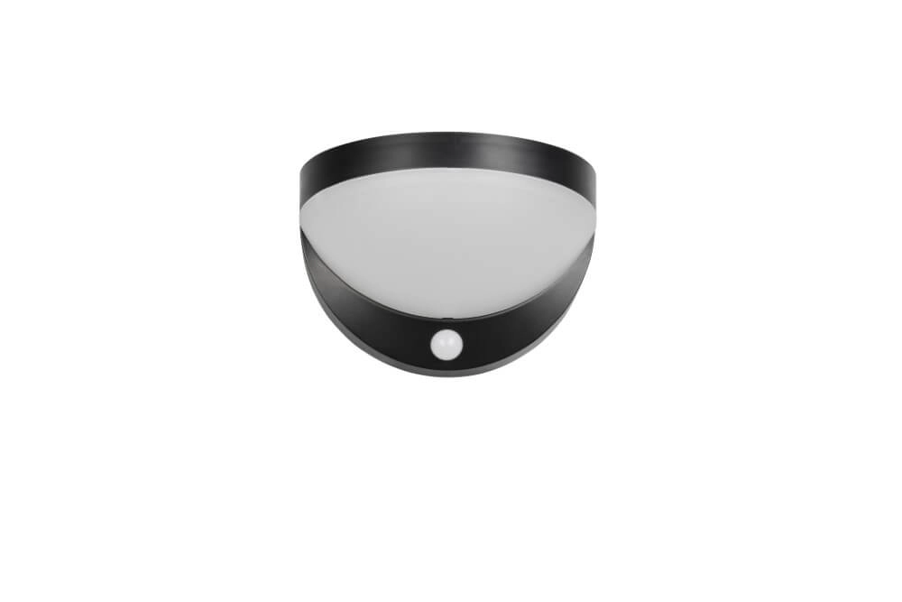 Solar wall lamp Cobre with motion sensor Trio 4017807622553