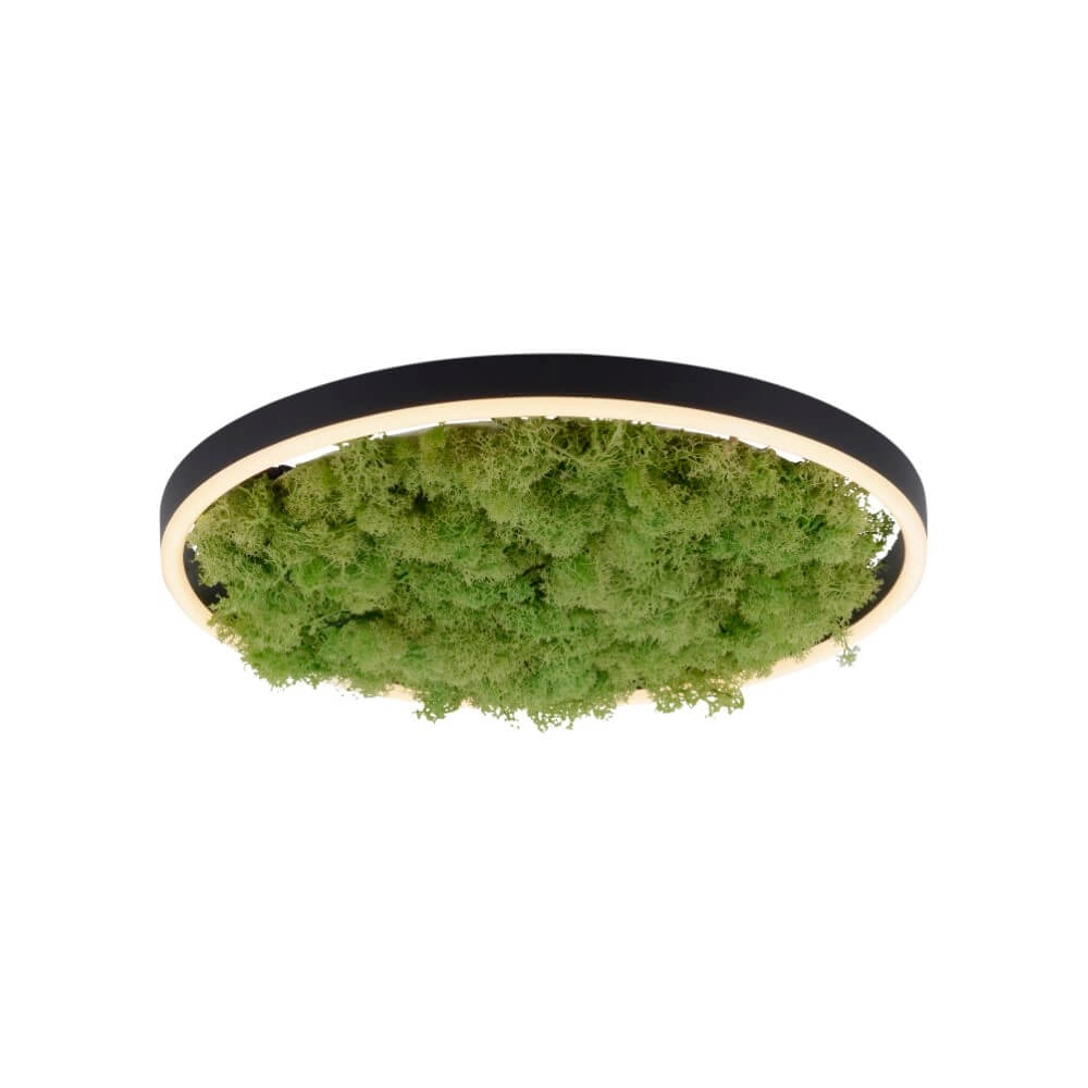 Ceiling lamp Green Ritus with moss Ø 39,3cm