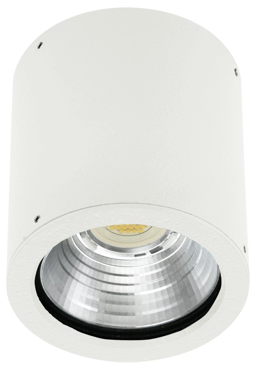 Led spot Yori 12w - white Albert 4007235823806