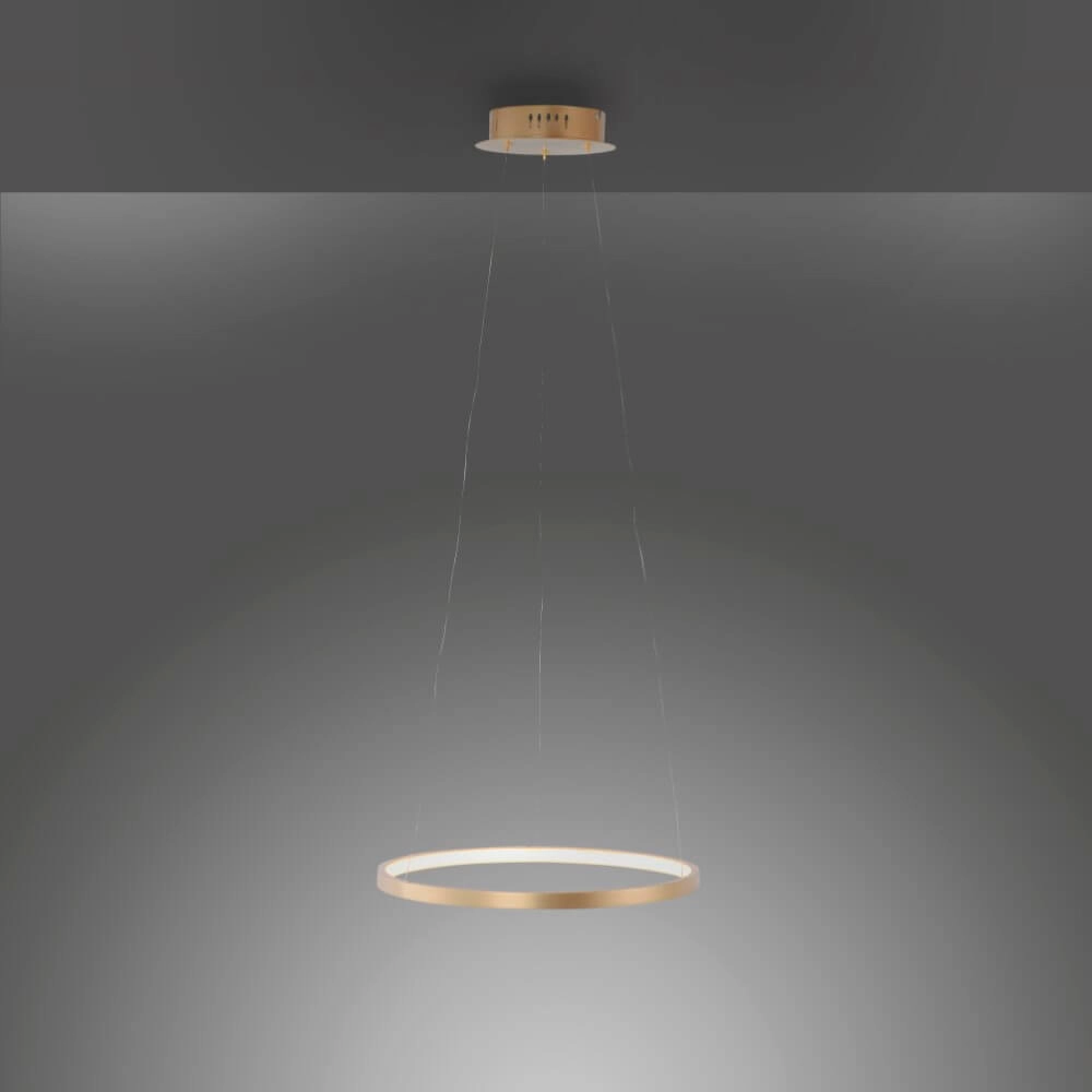 Round pendant lamp Circle gold Ø 39cm Just Light 4043689960391