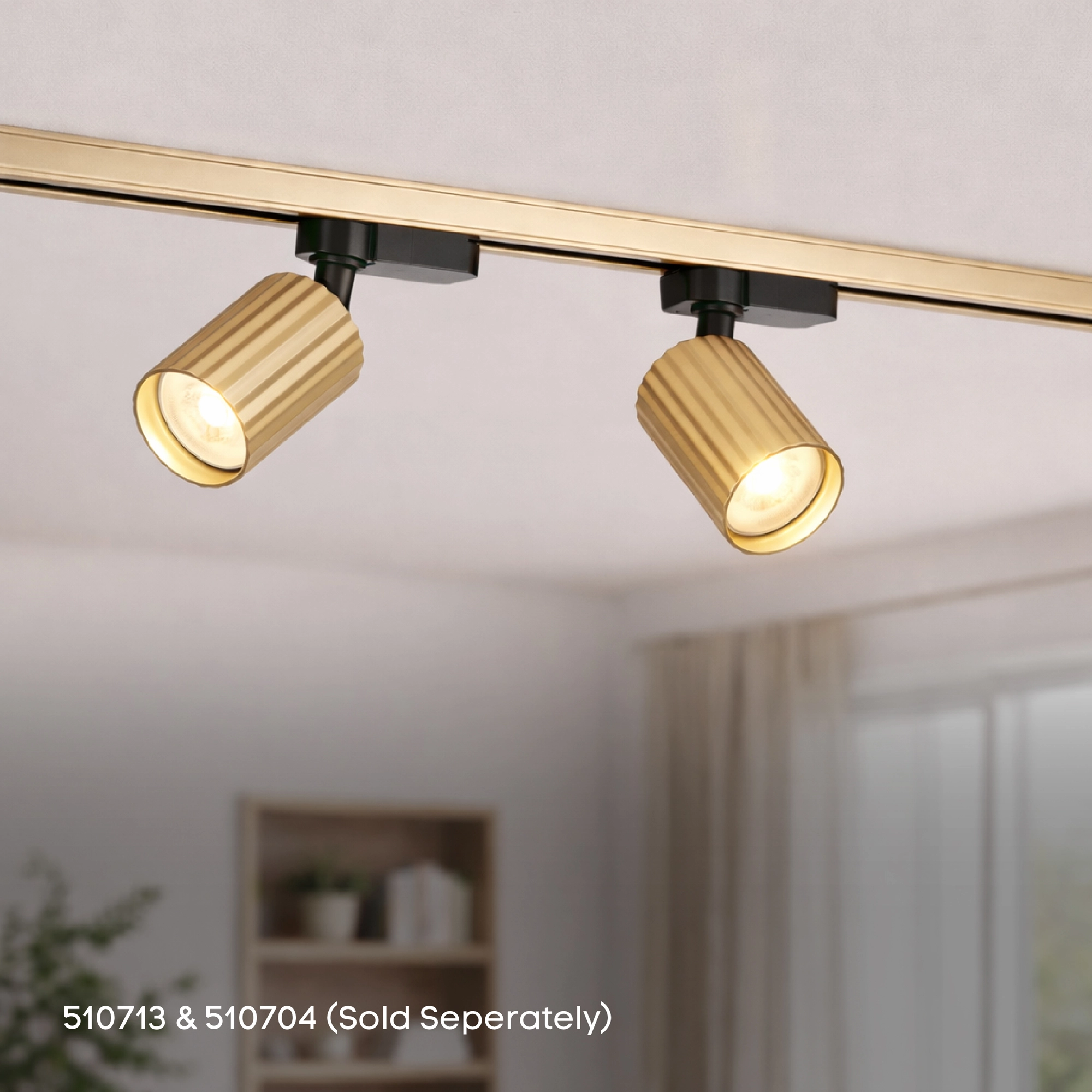 2 meter rail TraQ Gold Lyora 5053423317113