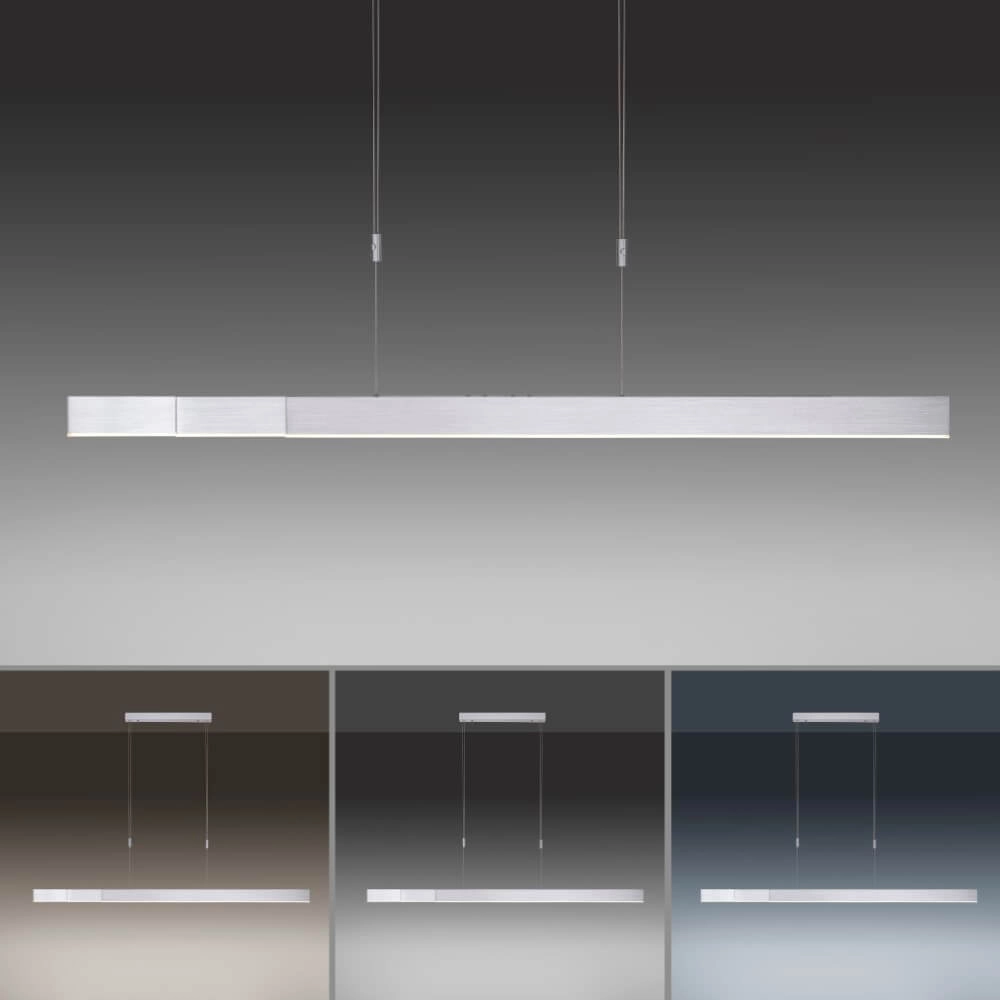 LED hanging lamp Pure-Moto brushed metal Paul Neuhaus 4012248363775