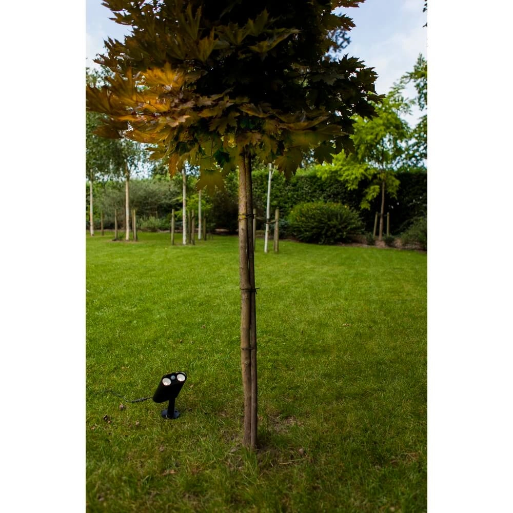 Solar garden spike light Bingo with motion sensor Lutec 6939412089980