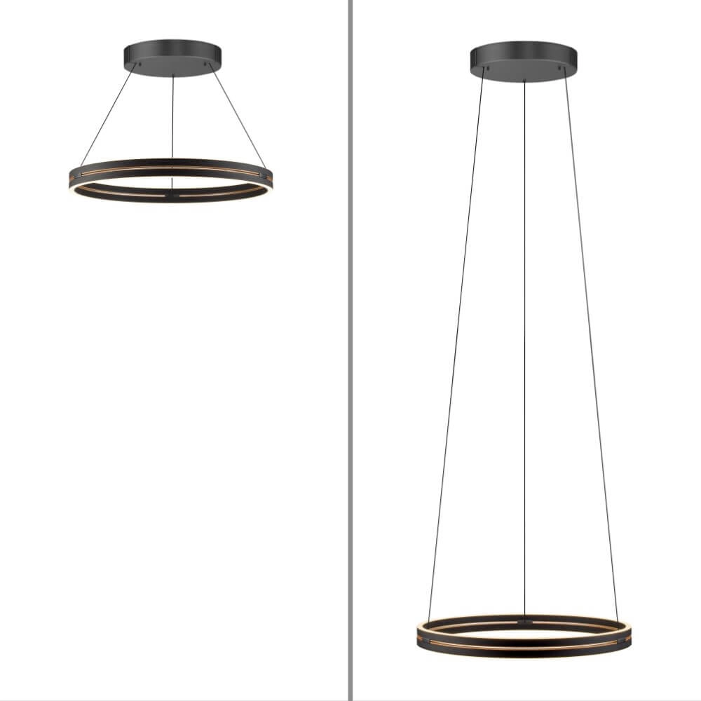 Sleek hanging lamp Pure E-Loop black Ø 70cm Paul Neuhaus 4012248384336