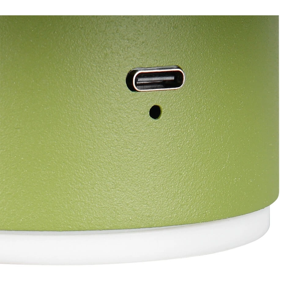 Green wall lamp Davey Ø 15cm Trio 4017807643824