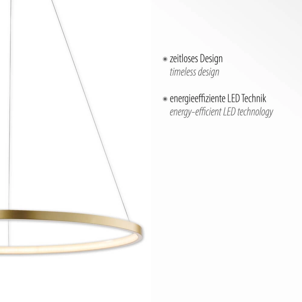 Round pendant lamp Circle gold Ø 60cm Just Light 4043689960414