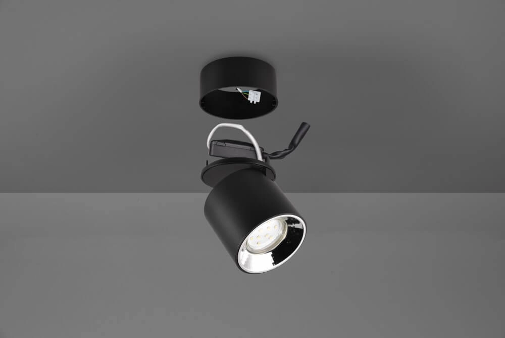 Ceiling light Guayana black Trio 4017807573930