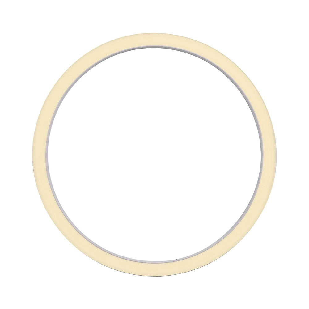 Sleek led ceiling lamp Pure Lines Round Ø 70cm - white Paul Neuhaus 4012248395813