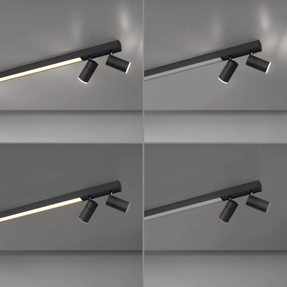 Sleek ceiling lamp Pure Lines Spot anthracite Paul Neuhaus 4012248366349