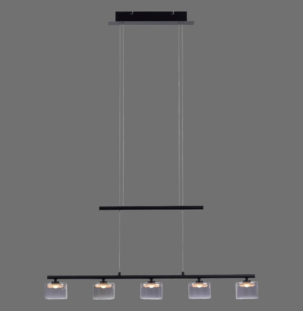 5-light pendant lamp Hydra black Paul Neuhaus 4012248364970