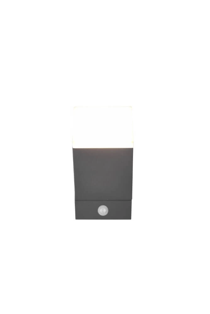 LED wall lamp Avon with motion sensor Trio 4017807529135