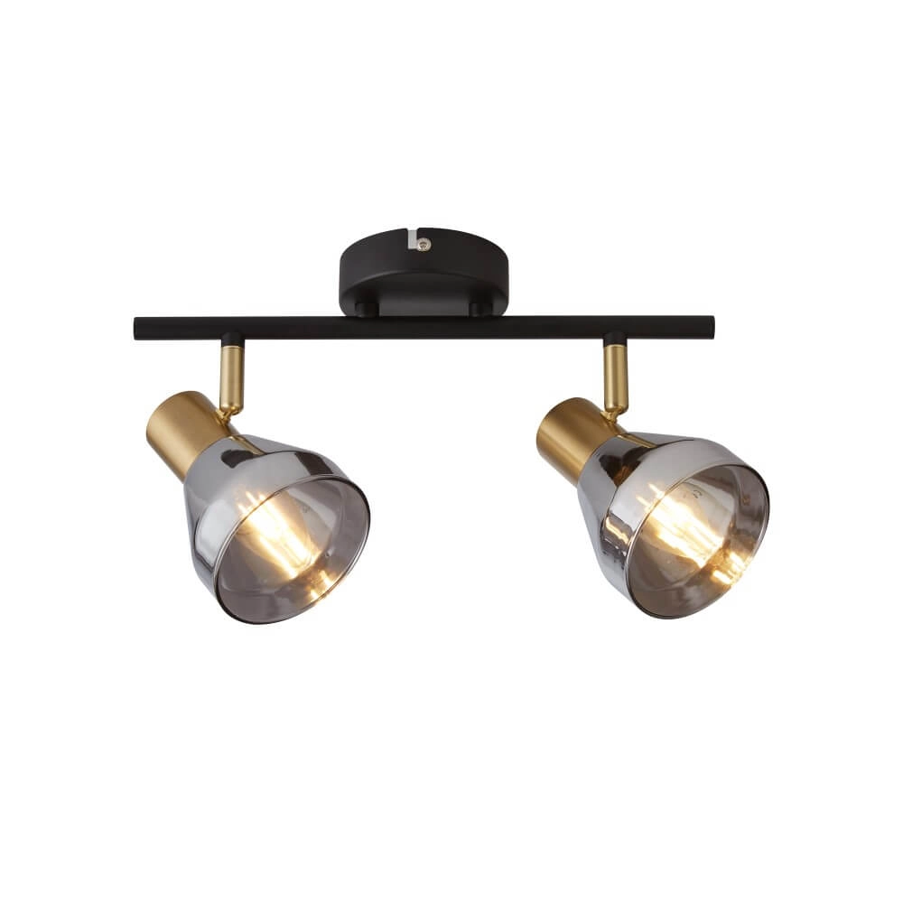 Ceiling lamp Westminster with smoke glass 2-lights