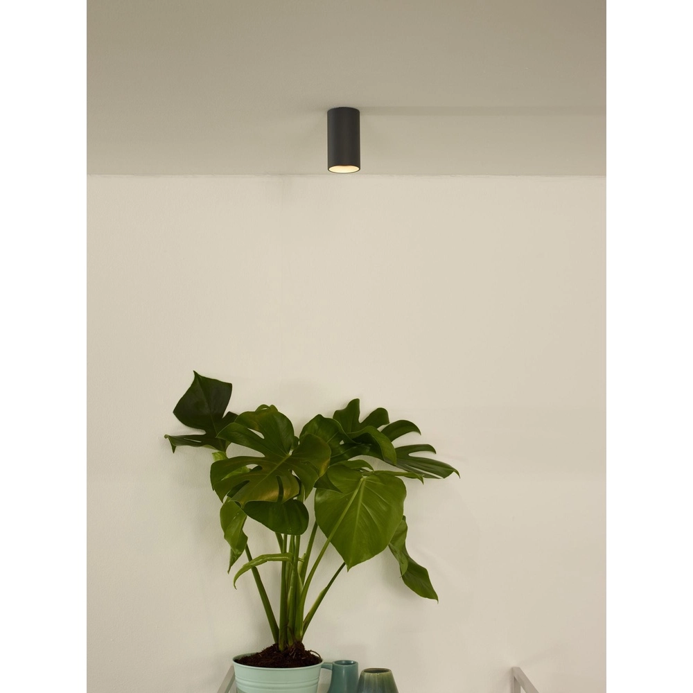 Sleek surface-mounted spot Delto grey Ø 5.5cm incl light source Lucide 5411212092373