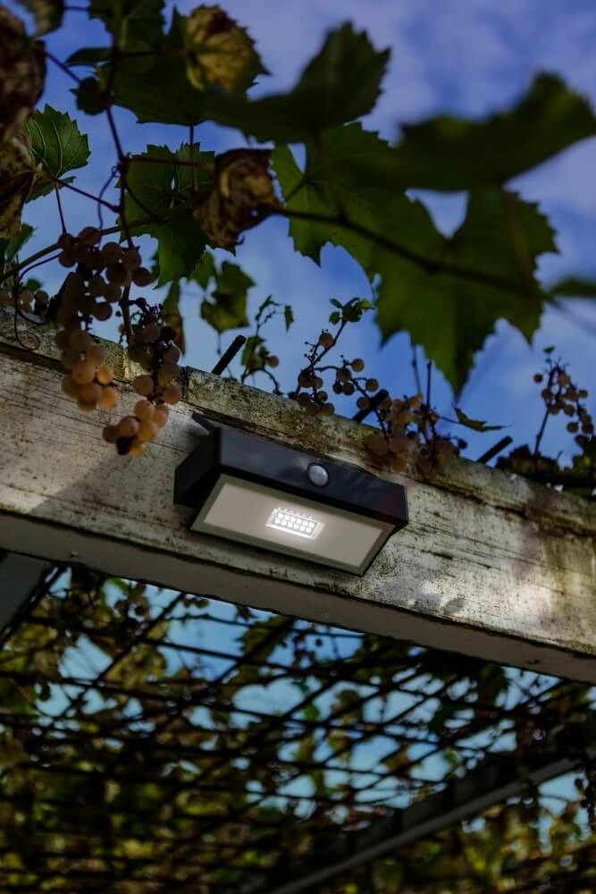 Solar wall lamp Arrow anthracite Lutec 6939412046402