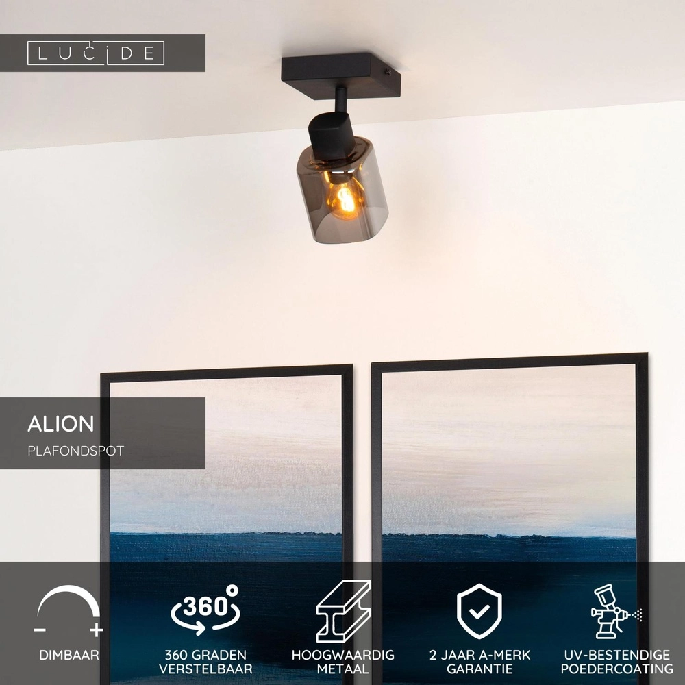 Ceiling lamp Alion Single black with smoke glass Lucide 5411212176981