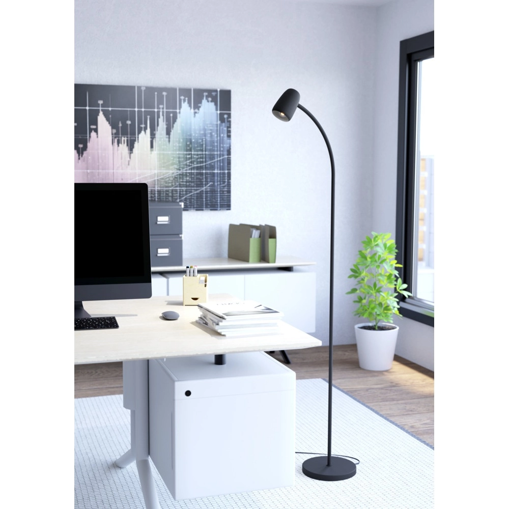 Floor lamp Carlo black Eglo 9008606360819