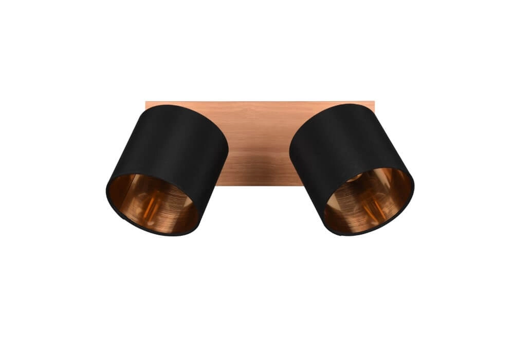 Rural ceiling spotlight Tommy 2-light Trio 4017807542561