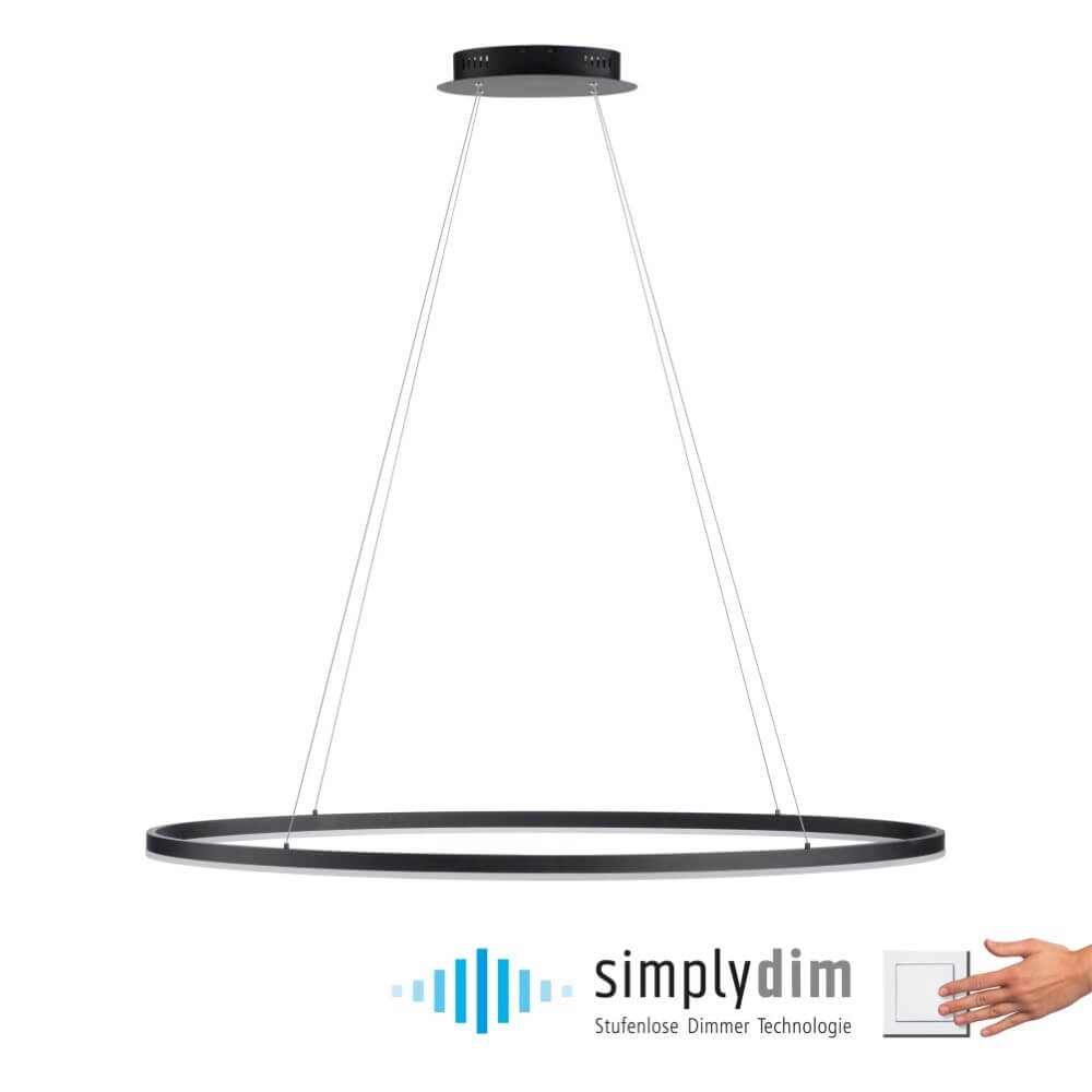 Anthracite pendant lamp Titus Ø 118cm Paul Neuhaus 4012248375228