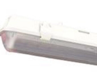 Outdoor lamp tl Worker 1x 36W - 126.5cm Reled 8718309812645