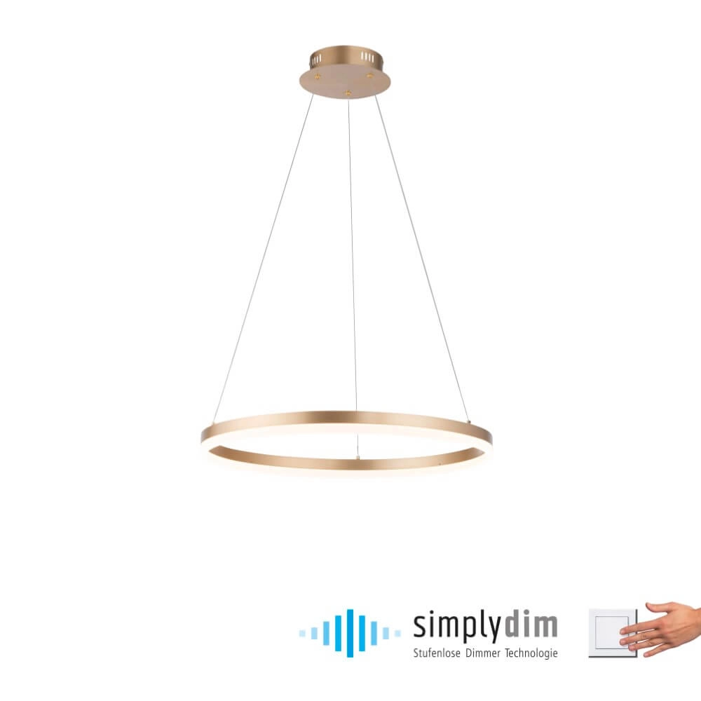 Modern pendant lamp Titus Ø 60cm antique brass Paul Neuhaus 4012248362853
