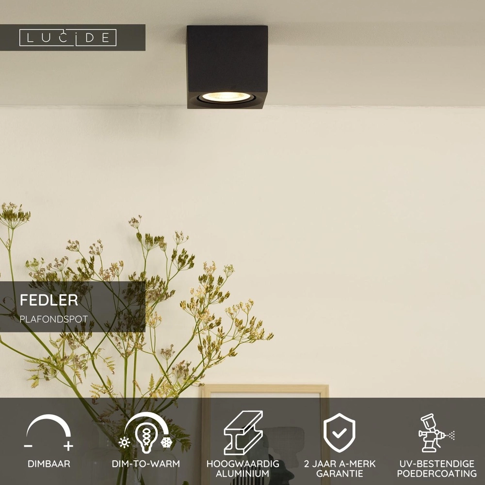 Ceiling spotlight Fedler GU10 ES111 black Lucide 5411212092151