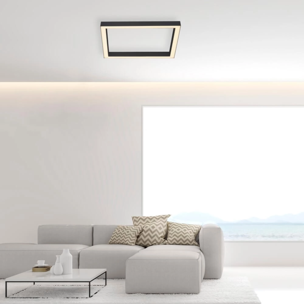 Square ceiling lamp Pure Lines Square anthracite Paul Neuhaus 4012248357927