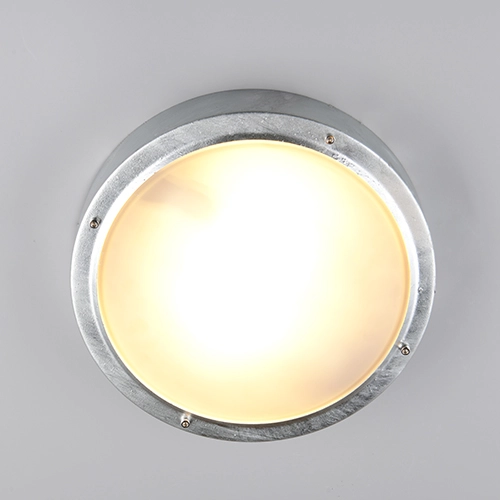 Barn lamp Barito zinc grey Trio 4017807691887