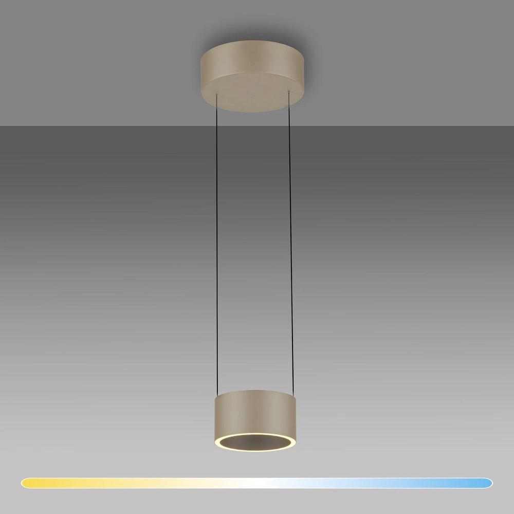 Design LED pendant light Pure Clipse Bronce Paul Neuhaus 4012248396308