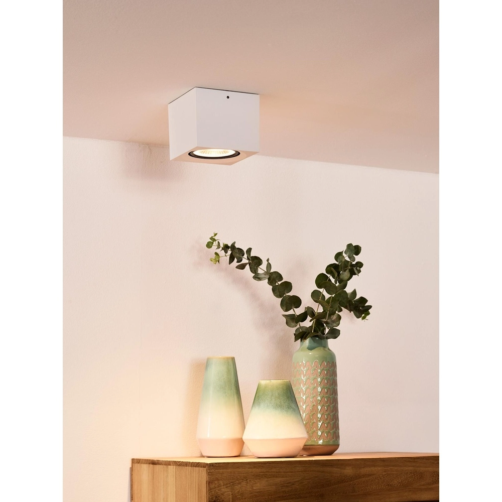 Ceiling spotlight Fedler GU10 ES111 white Lucide 5411212092168