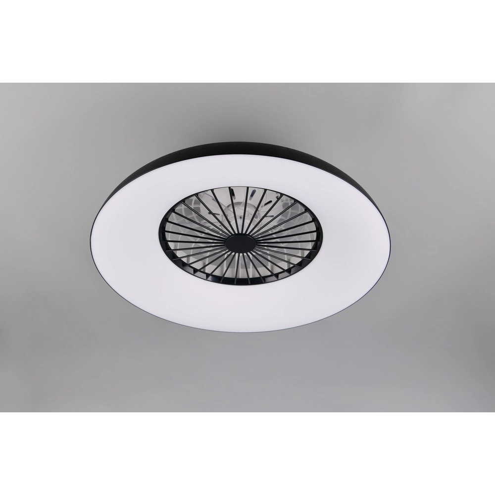 Design fan Svaerholt black Ø 60cm with RGB function Trio 4017807688795