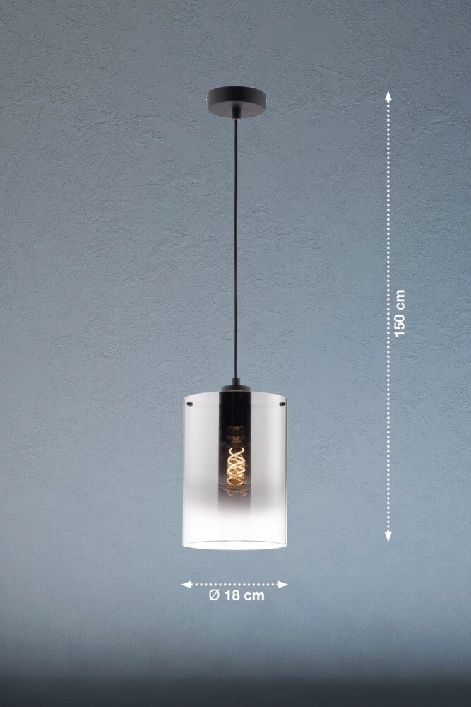 Hanging lamp Samu smoke glass Fischer & Honsel 4003694608954