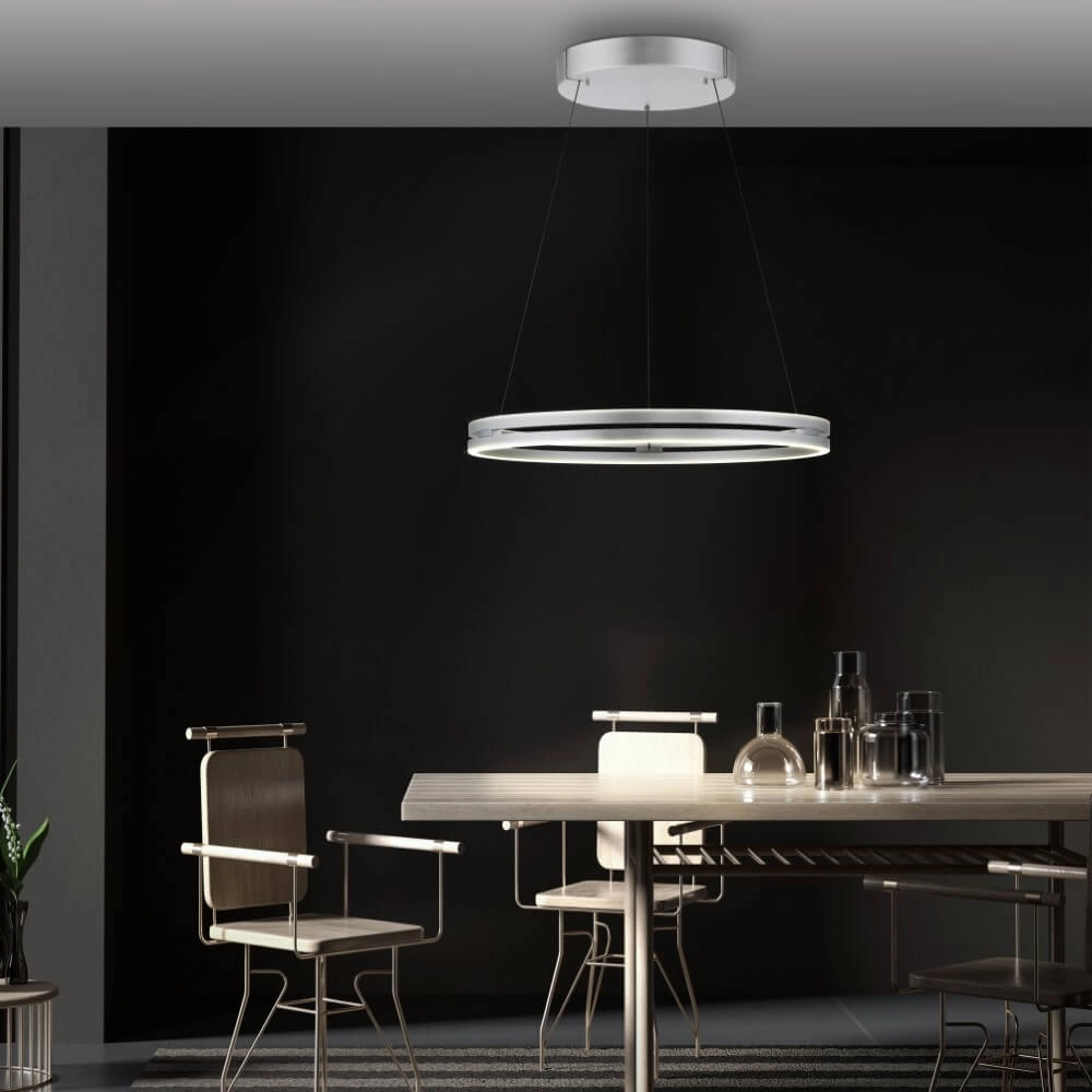 Sleek hanging lamp Pure E-Loop aluminum Ø 70cm Paul Neuhaus 4012248372302