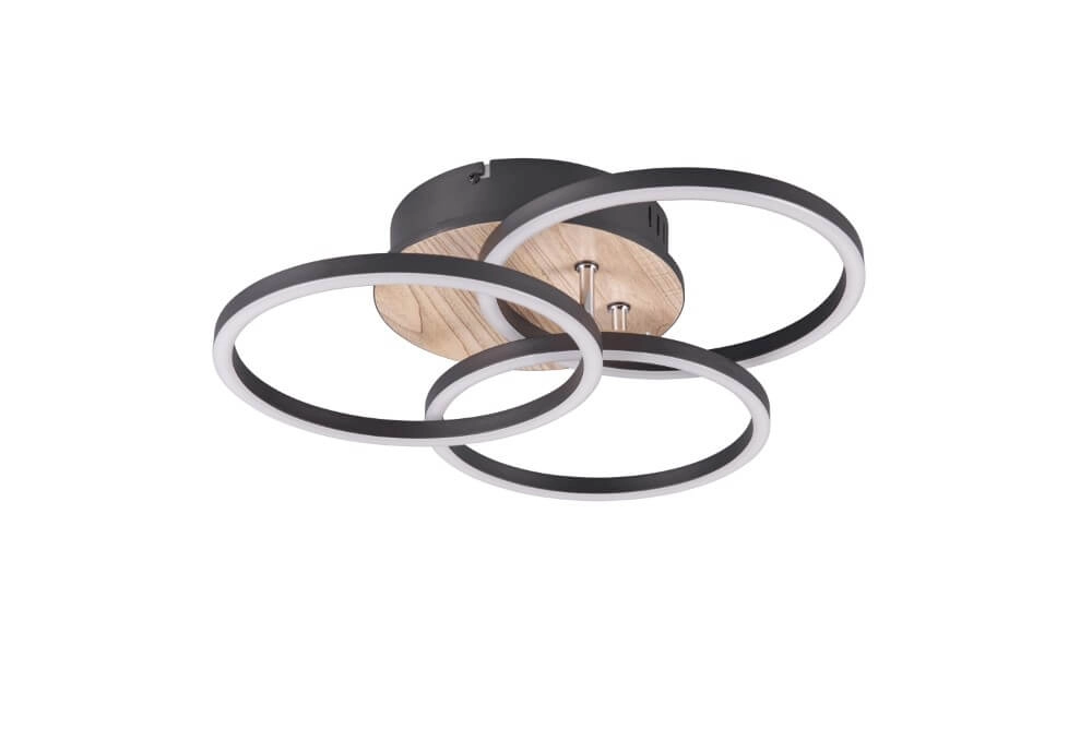 Ceiling light Circle Ø 43.5cm Trio 4017807561234