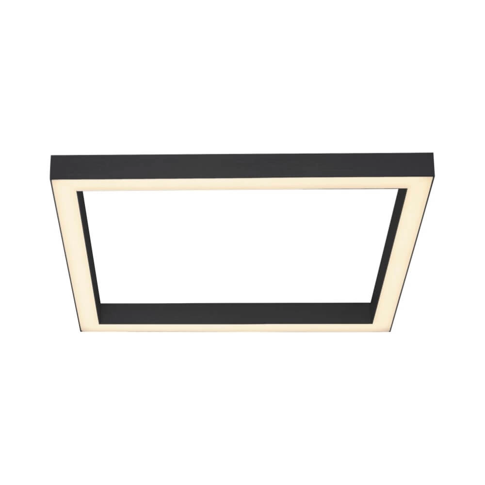 Square ceiling lamp Pure Lines Square anthracite Paul Neuhaus 4012248357927