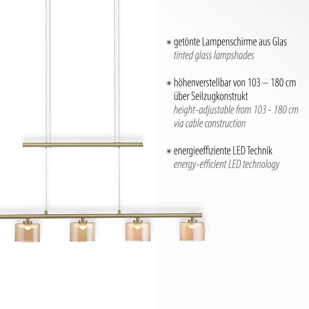 5-light pendant lamp Hydra brass Paul Neuhaus 4012248364987